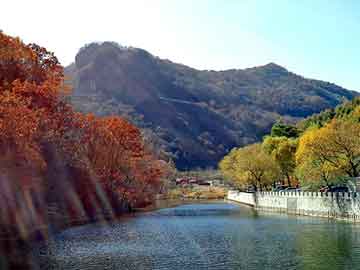 澳门二四六天天彩图库，都市狂魔